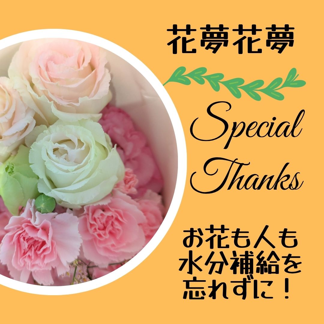 教室花材